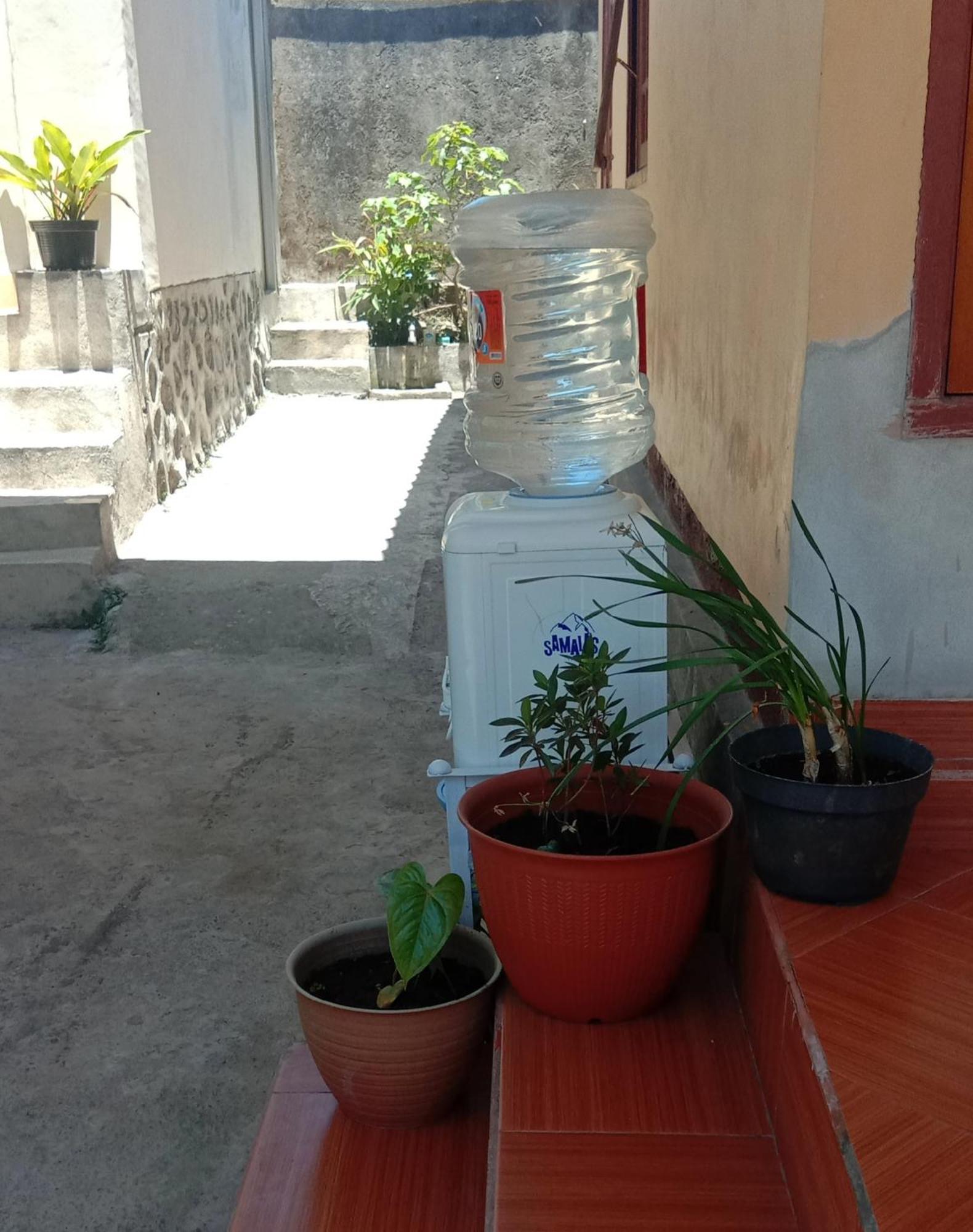 Radiya Guesthouse Sembalunlawang Zewnętrze zdjęcie