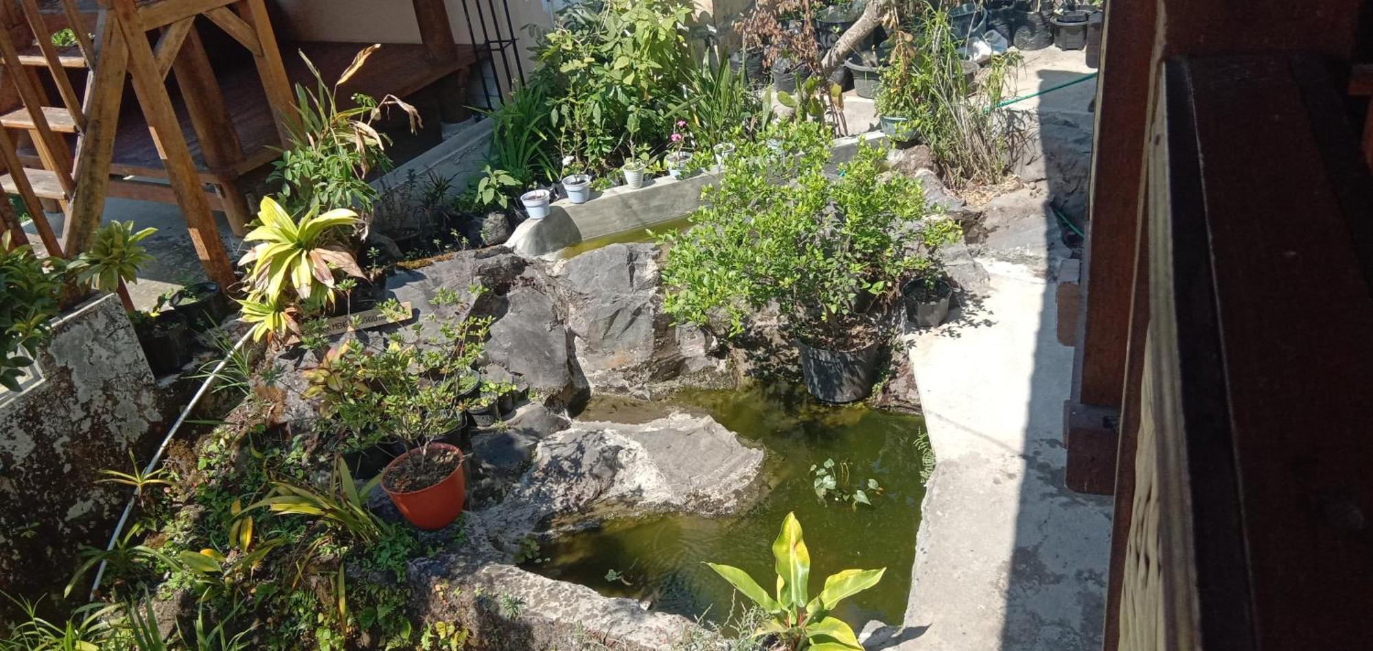 Radiya Guesthouse Sembalunlawang Zewnętrze zdjęcie