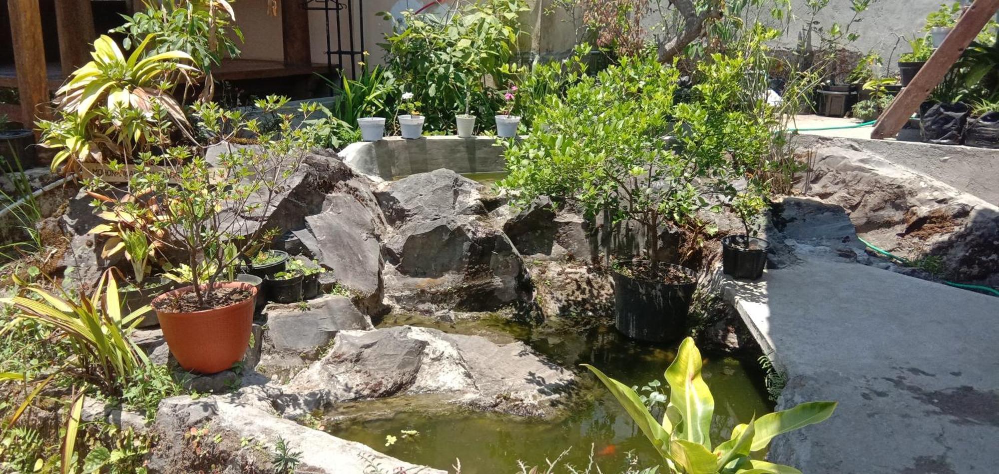 Radiya Guesthouse Sembalunlawang Pokój zdjęcie